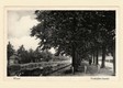 Het Verliefden Laantje (Minderbroederslaan) aan de Zuid-Willemsvaart, eind jaren 30