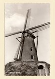 Wilhelmus- Hubertusmolen in 1959.